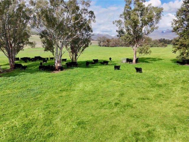 The Glen, Berrigal via Edgeroi NSW