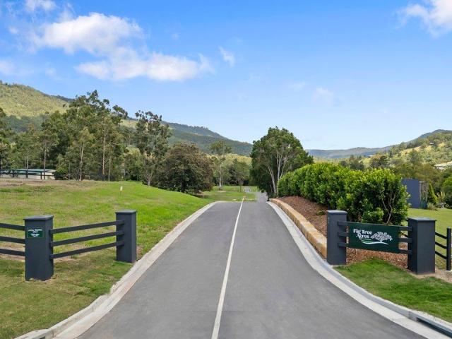 The Epitome of Acreage Living in Beautiful Canungra 3 x Acreage Blocks Left !