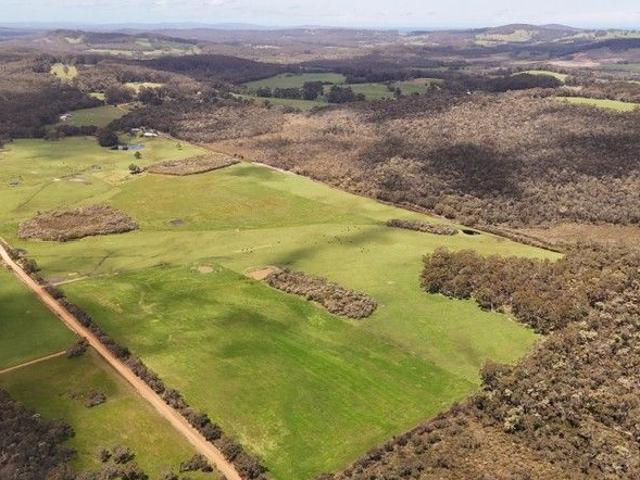 'Birdsong', The Forever Farm !