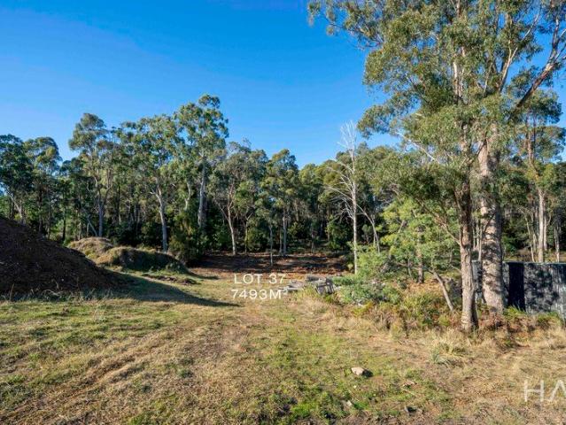 The Final Opportunity at Fermoy Estate