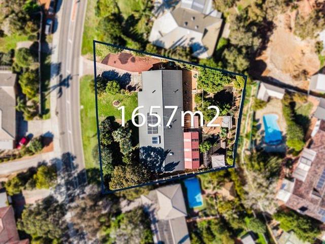 Family Retreat PLUS Granny Flat on 1657 sqm Elevated Hills Block!