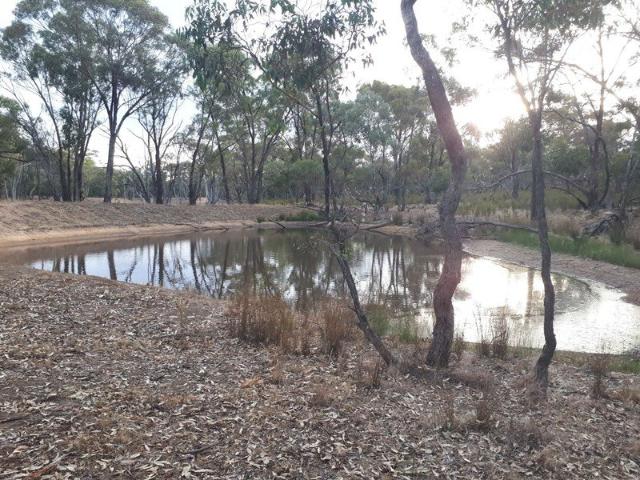 THE IDEAL GETAWAY 13.79 Acres