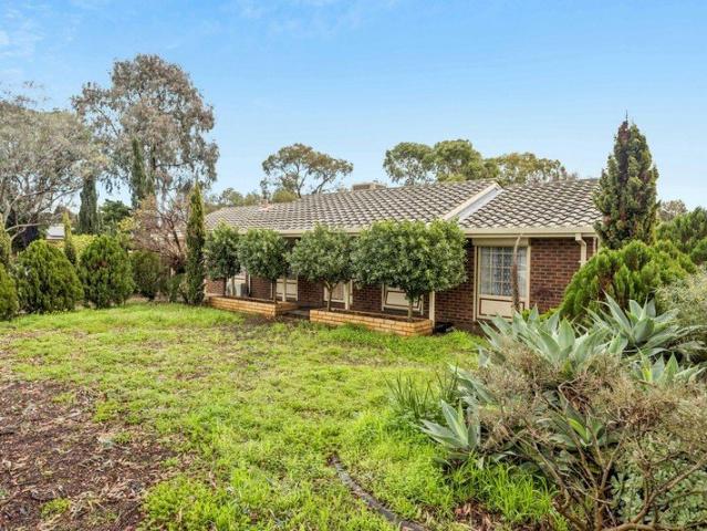 The Ideal Investment, Corner Location!