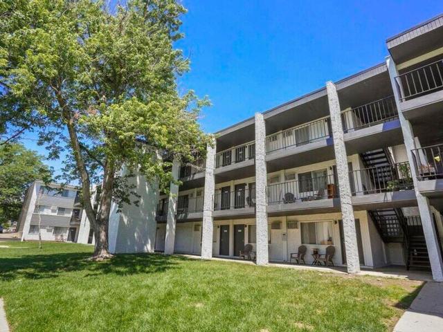 The Iris 1 Bedroom Apartment for Rent at 9700 W 51st Pl, Arvada, CO 80002 Arvada Plaza Area