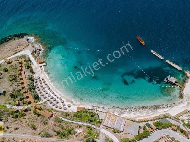 The One Yalıkavak Denize Sıfır 4+1 Havuzlu Kiralık Lüks Villa