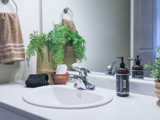 The One 2 Bedroom Apartment for Rent at 1 Tourond Creek Dr, St Adolphe, MB R5A 0C9