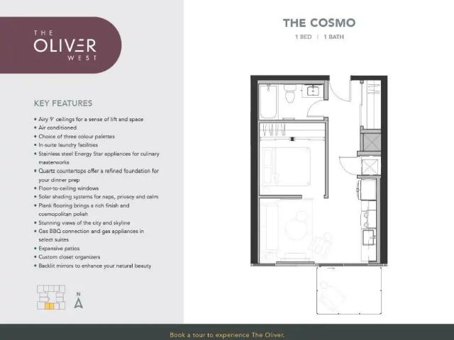 The Oliver Apartments — The Cosmo