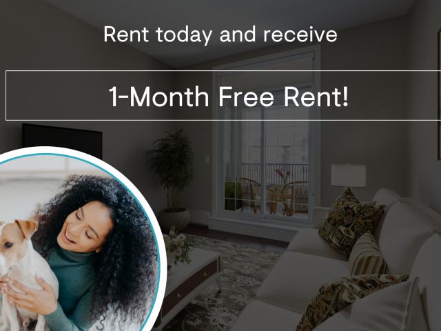 South Centrepointe One Bedroom Suites Apartment for Rent