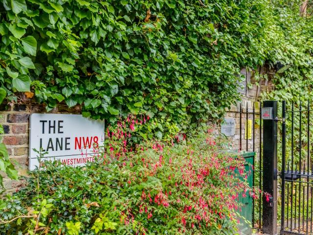 The Lane