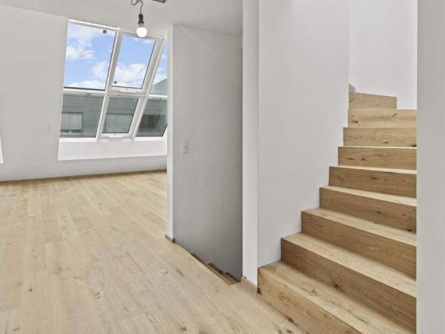 THE LAST ONE + DG Maisonette, Hermanngasse