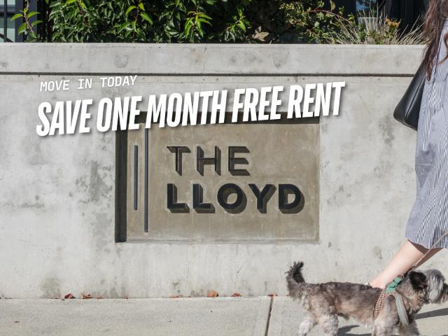 The Lloyd 2 Bedroom + 2 Bath Apartment for Rent
