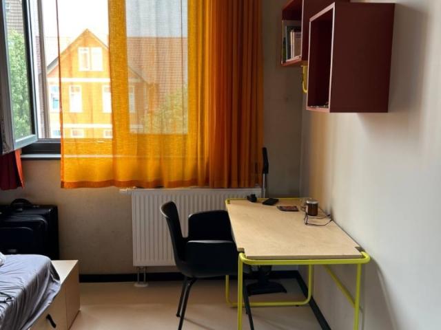 The most comfy studio for rent