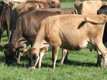 The Maths More Than Work on this Reliable Production Property