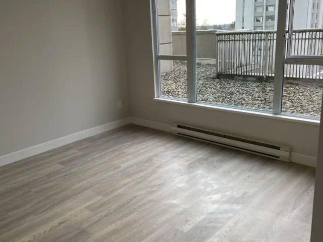 The Melbourne — Upgraded Junior One Bedroom, One Bath two months free rent