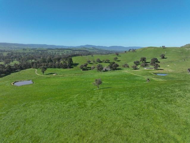 'The Murrindindi Aggregation' A highly productive and versatile livestock enterprise