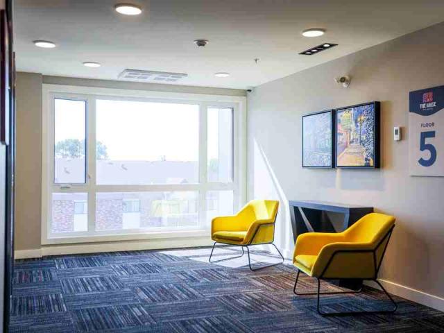 The Muse Off Whyte 2 Bedroom Apartment for Rent at 10119 85 Ave Nw, Edmonton, AB T6E 3T5 Strathcona