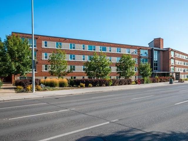 The New Mount Royal Apartments