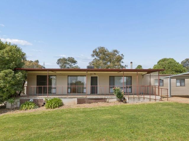 The Shed & Wombat Lifestyle You Want on Half an Acre!