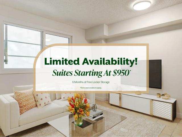 The SunRise Bachelor Apartment for Rent