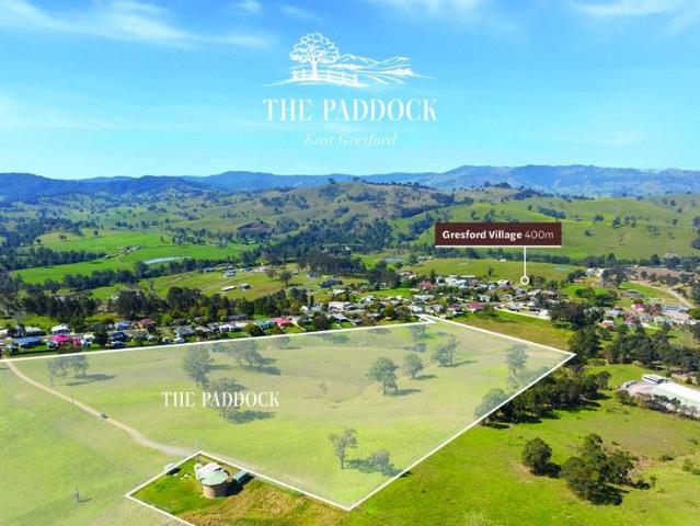 'The Paddock'
