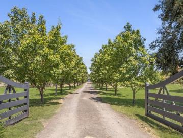 The Paddock Space, Shedding and Seamless Coastal and City Access