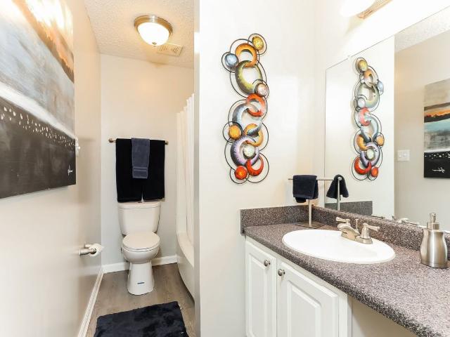 The Park at Sunderland 1 Bedroom Apartment for Rent at 660 Valley Crest Dr, Birmingham, AL 35215 Echo Highlands