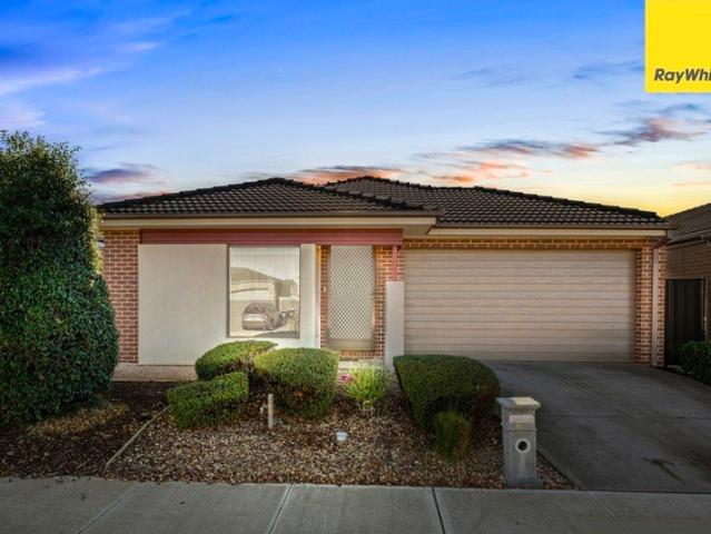 The Perfect Family Package Space, Comfort & Convenience