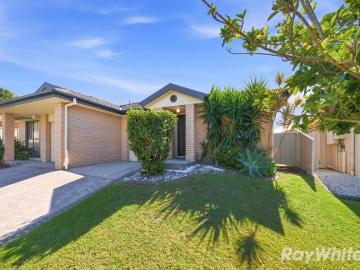 Rutherford, Anambah, Maitland, New South Wales