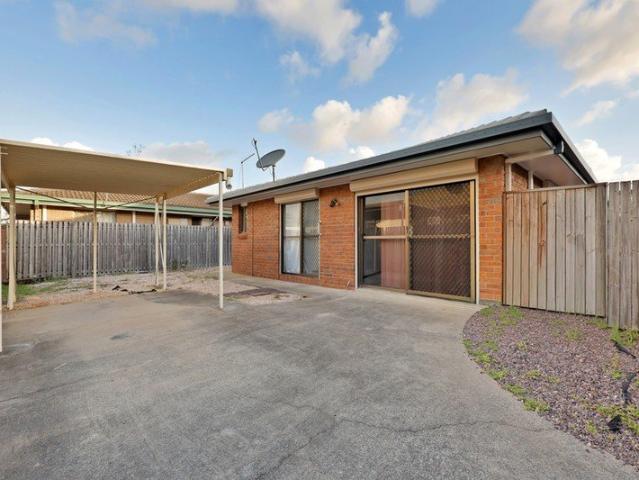 The Perfect First Step Into the Market!