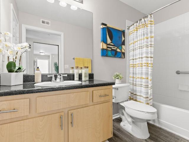 The Preserve at Mobbly Bay 1 Bedroom Apartment for Rent at 8210 Solano Bay Loop, Tampa, FL 33635