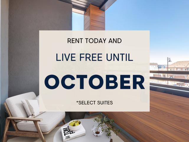 The Quarters Two Bedroom Suites Apartment for Rent