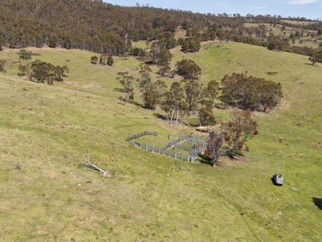 The Ranch
