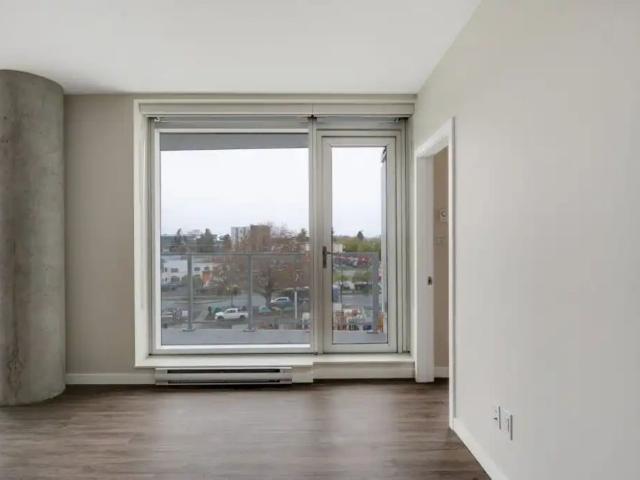 The Wedge Apartments — 1 Bedroom 1 Bathroom