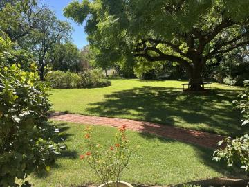 THE WILLOWS SET UP FOR HORSES OR ANY LIVESTOCK PRIVACY AT ITS BEST! POA ABUNDANCE OF WATER