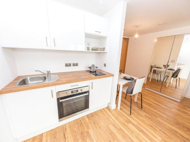 The Tower, 19 Plaza Boulevard. Studio to rent £750 pcm £173 pw