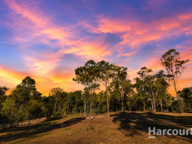 The Ultimate 100 Acre Escape: Your Weekend Retreat or Hobby Farm Haven