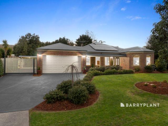 The Ultimate Family Entertainer in Beaconsfield's Best Pocket!