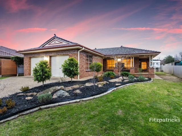The Ultimate Family Package in Popular Tatton