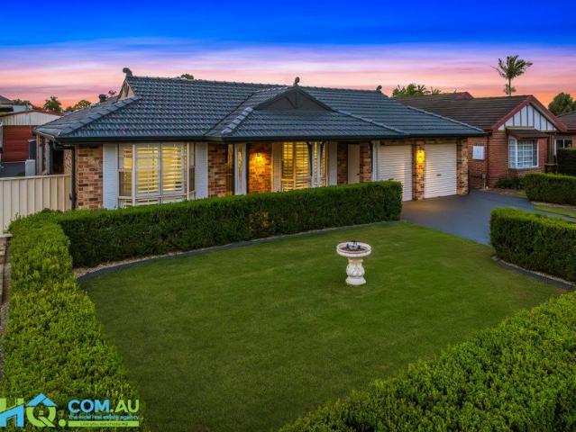The Ultimate Family Sanctuary: 1069sqm Block, 6 Car Capacity & Resort Style Pool!