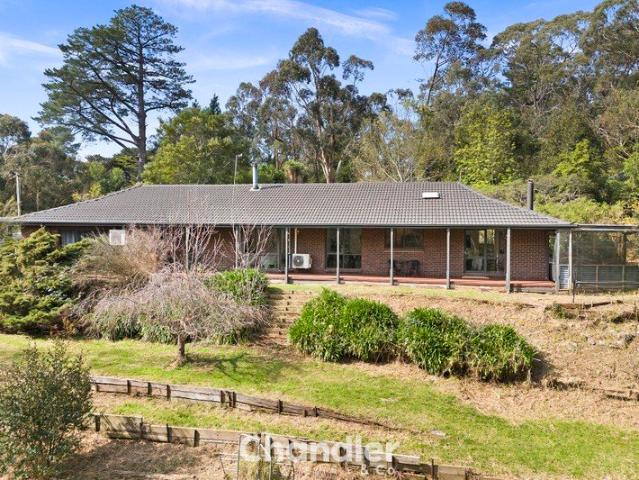 The Ultimate Hills Lifestyle On 7.6 acres
