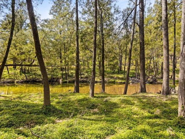The Ultimate Off Grid Escape!