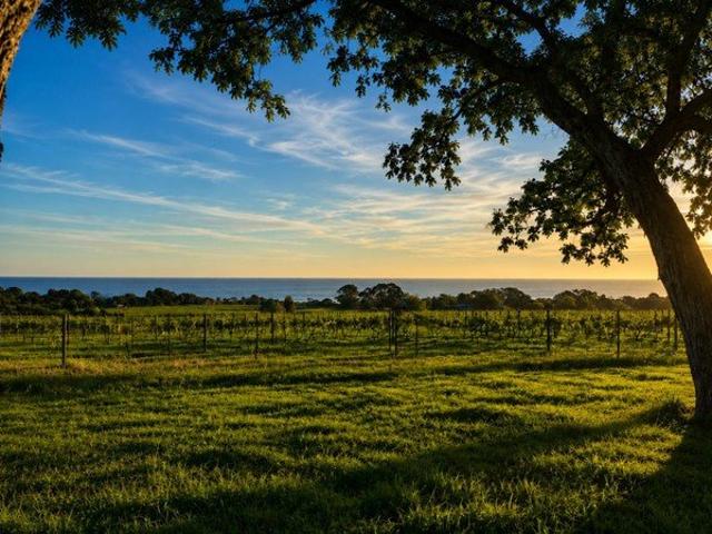 THE ULTIMATE PENINSULA ESTATE There are properties you purchase. and there are legacies you create