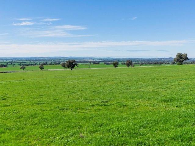 The Ultimate Rural Lifestyle on Wagga's Doorstop