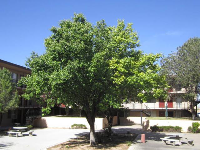 The Villas @ Uptown 1 Bedroom Apartment for Rent at 6230 Indian School Rd Ne, Albuquerque, NM 87110 Uptown