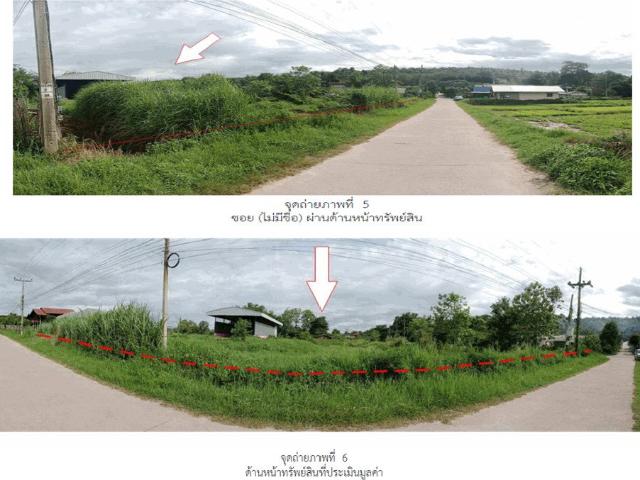 ที่ดินพร้อมสิ่งปลูกสร้าง 1297 ตร.วา พาน เชียงราย 2M