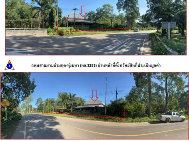 ที่ดินพร้อมสิ่งปลูกสร้าง 123 ตร.วา ปะทิว ชุมพร 2M