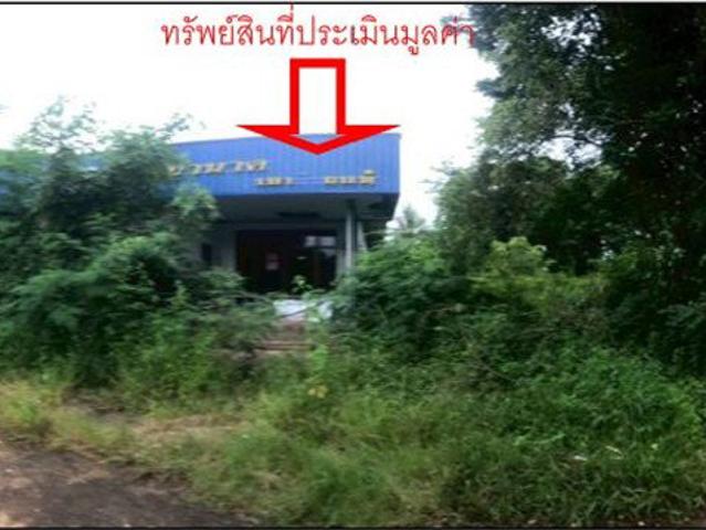 ที่ดินพร้อมสิ่งปลูกสร้าง 787 ตร.วา ท่าบ่อ หนองคาย 1.6M