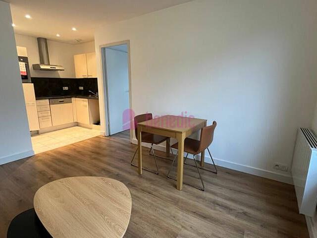 THIONVILLE CENTRE F2 MEUBLE PARKING SS/SOL PROCHE GARE