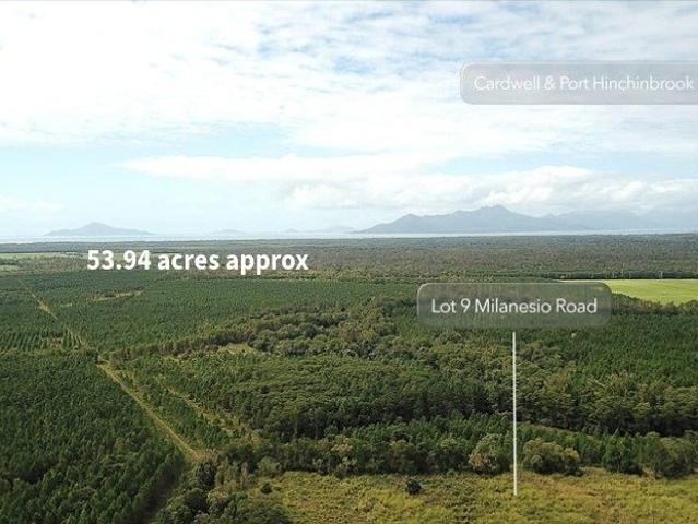 Location and potential. 53.94 acres of prime farm land with a shed