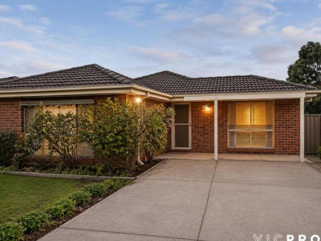 This is the One!
